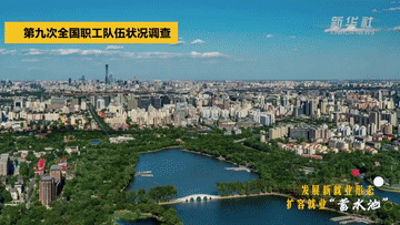 5.gif